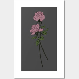 Pink Roses Posters and Art